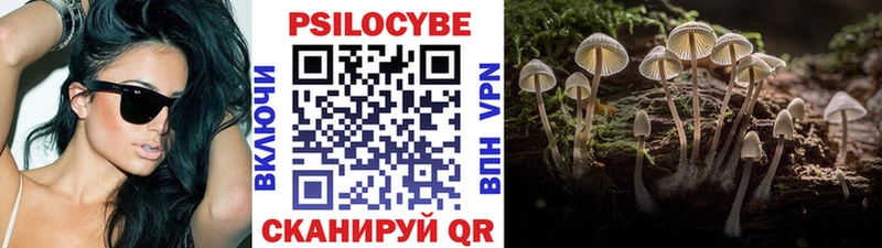 мориарти как зайти  Кодинск  гидра tor  Галлюциногенные грибы прущие грибы  хочу  