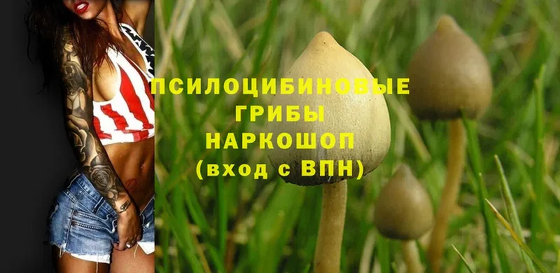 Галлюциногенные грибы MAGIC MUSHROOMS  Кодинск 